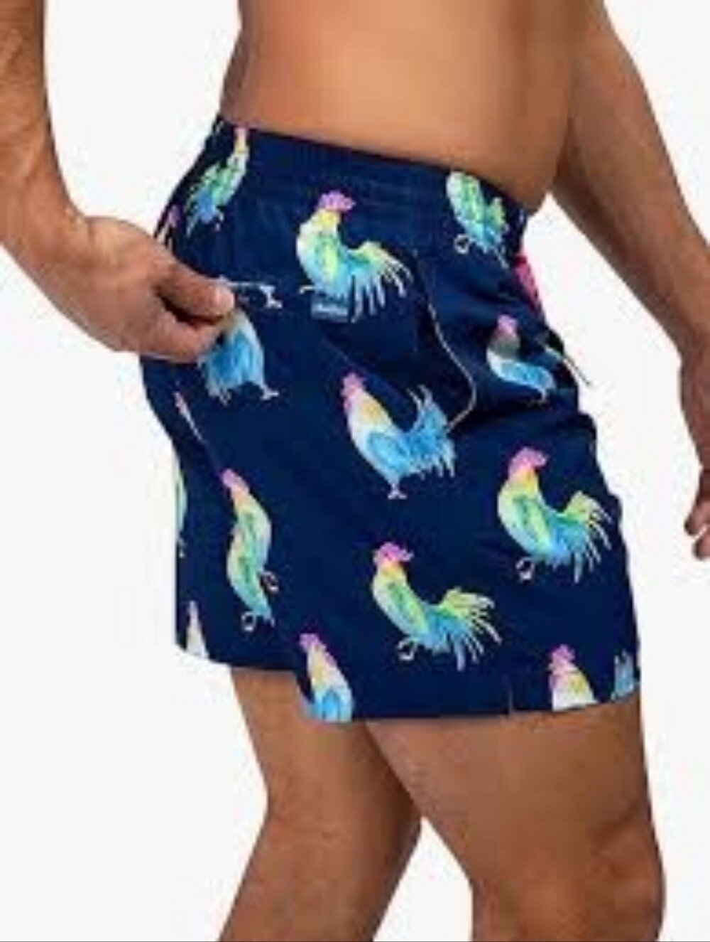 Chubbies Swim Trunks Mens 5.5 Inch Blue Rooster Fowl Brief Mesh Liner